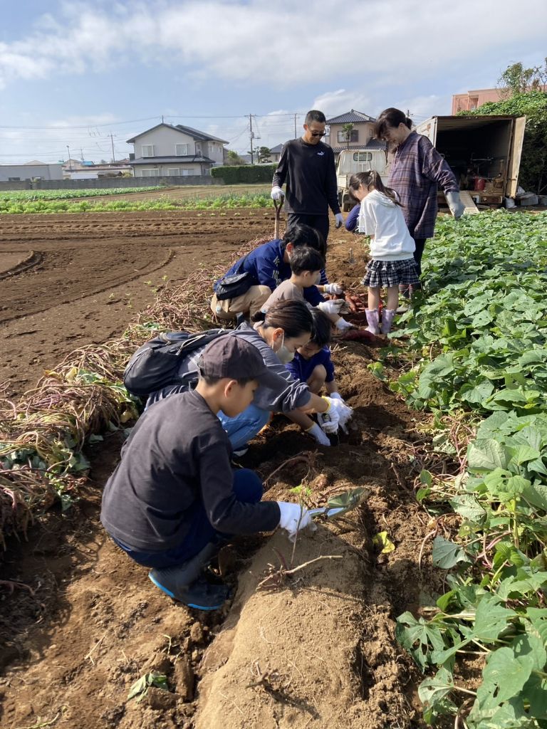 ハロウィンランタンづくり教室&さつまいも掘り