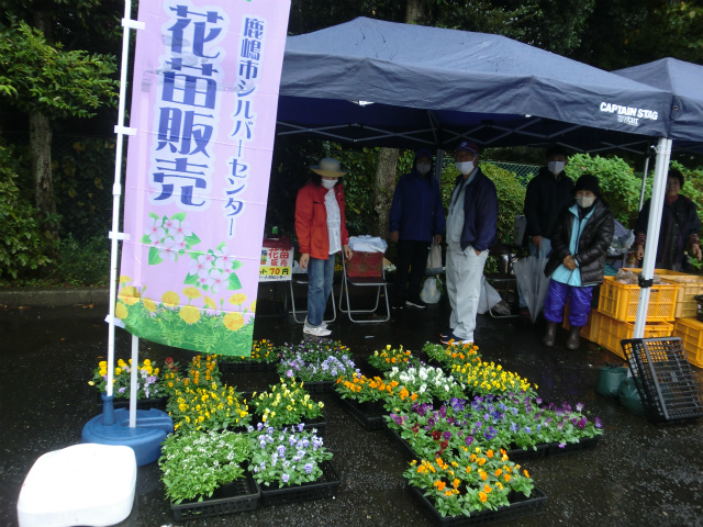 シルバーセンターの花販売