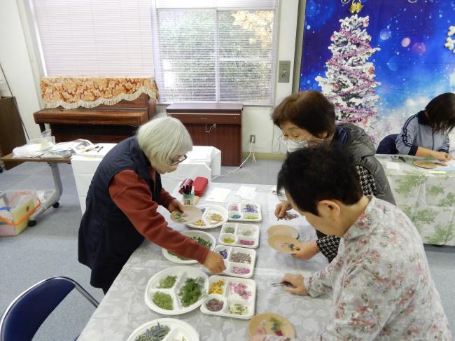背景に貼る押し花を選んでいる様子