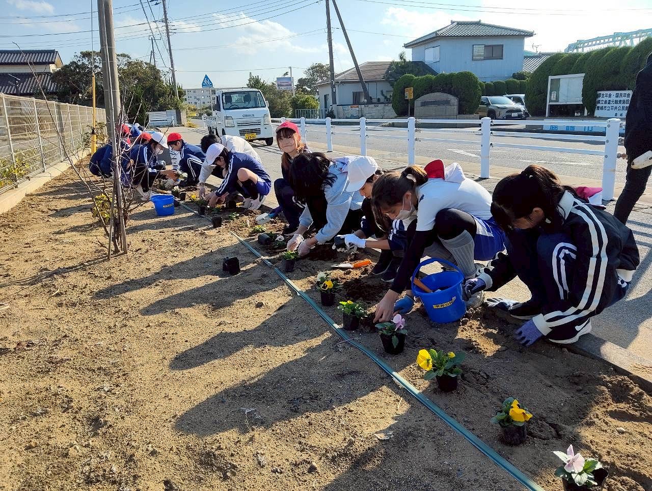 花植えの様子