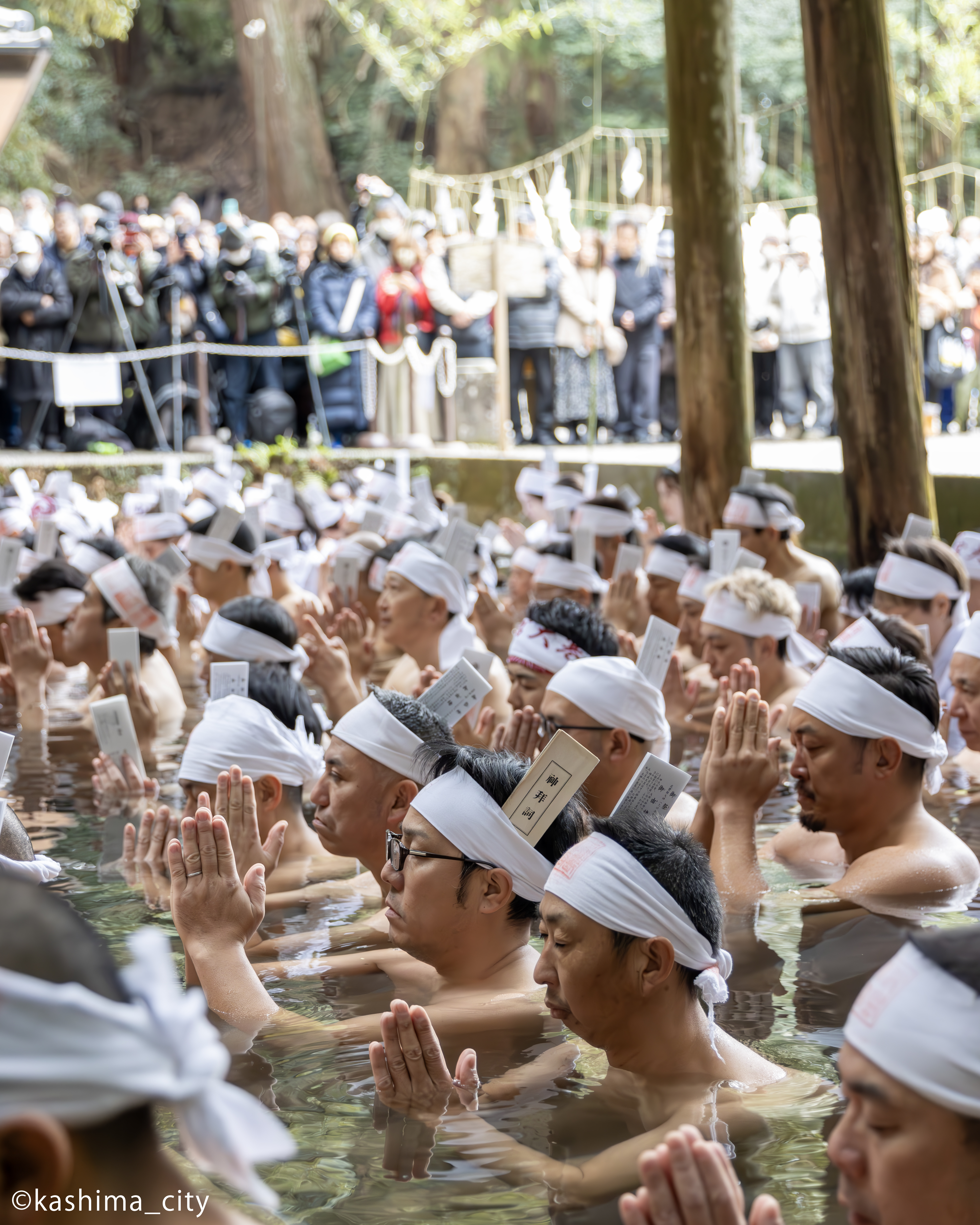 肩まで池に浸かり手を合わせる参加者たち