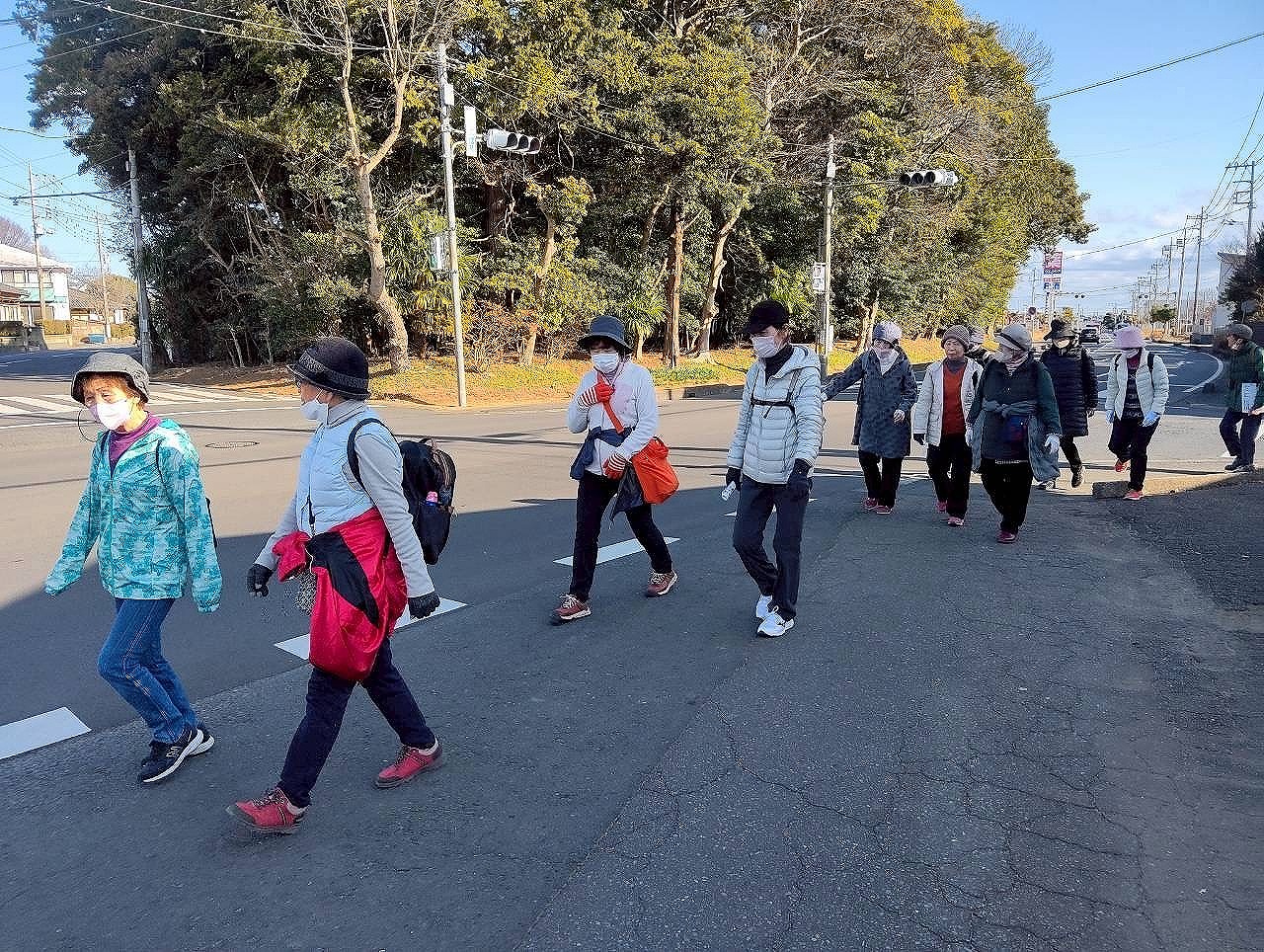 ウォーキングの様子