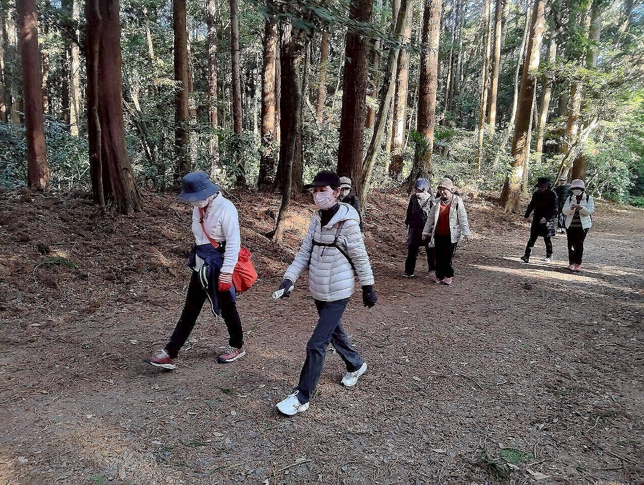 ウォーキングの様子