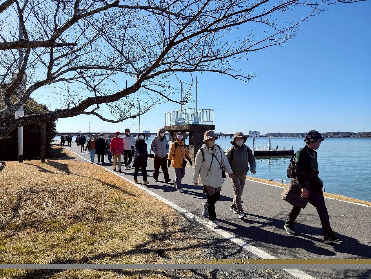 霞ヶ浦移動ウォーキングの様子