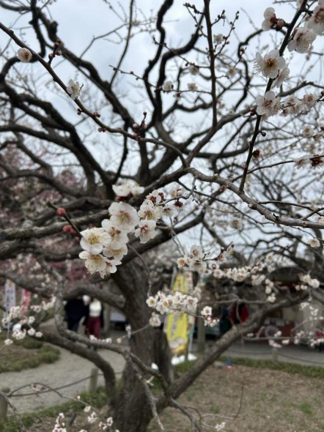 健康づくり教室