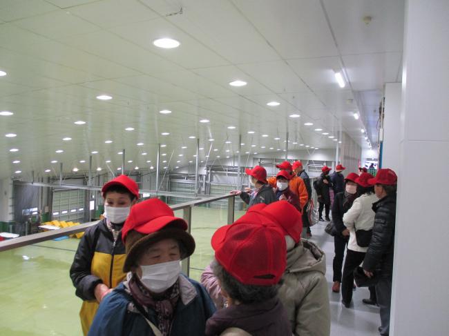 第三卸売市場見学通路の様子写真