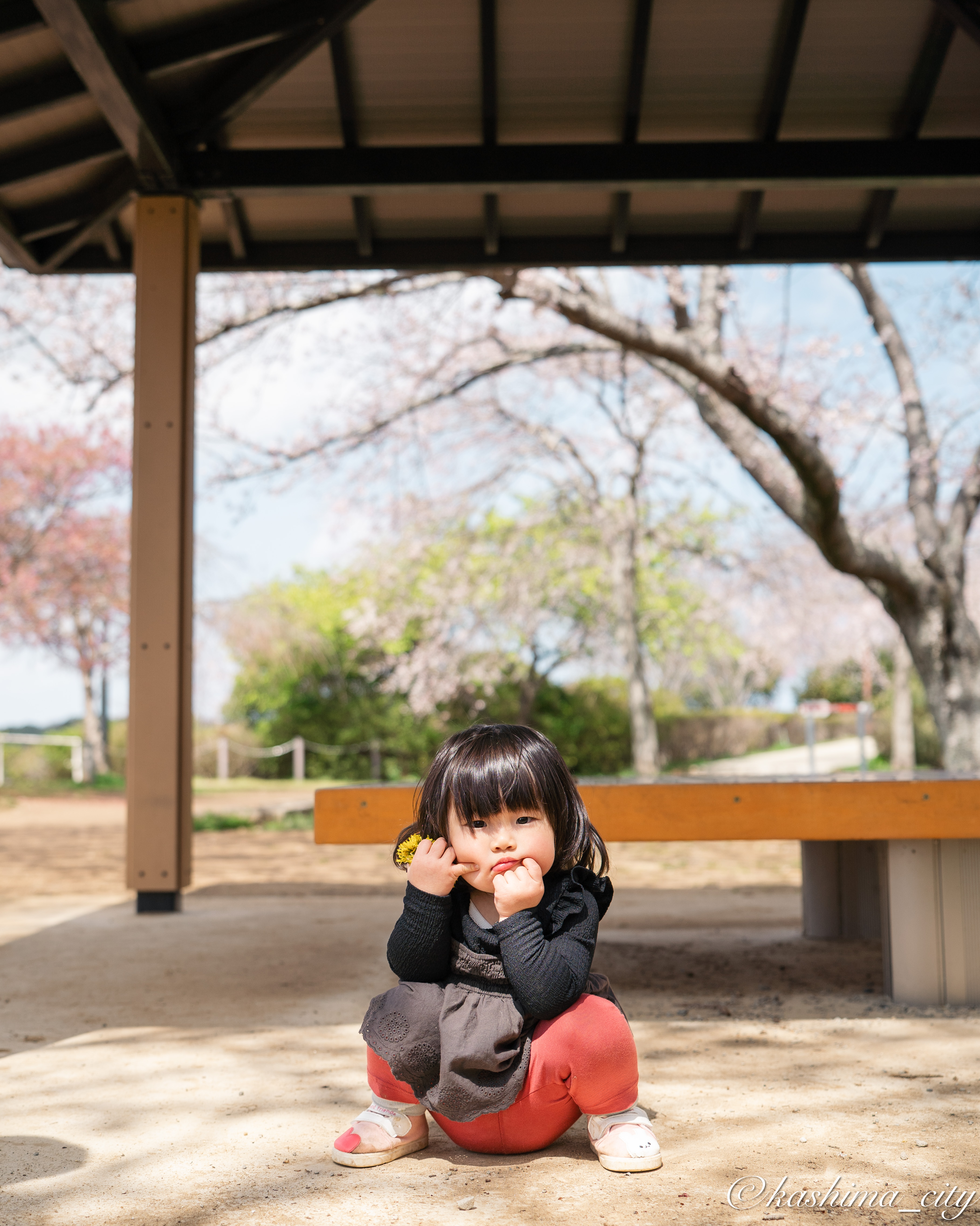 たんぽぽを手に持つ女の子