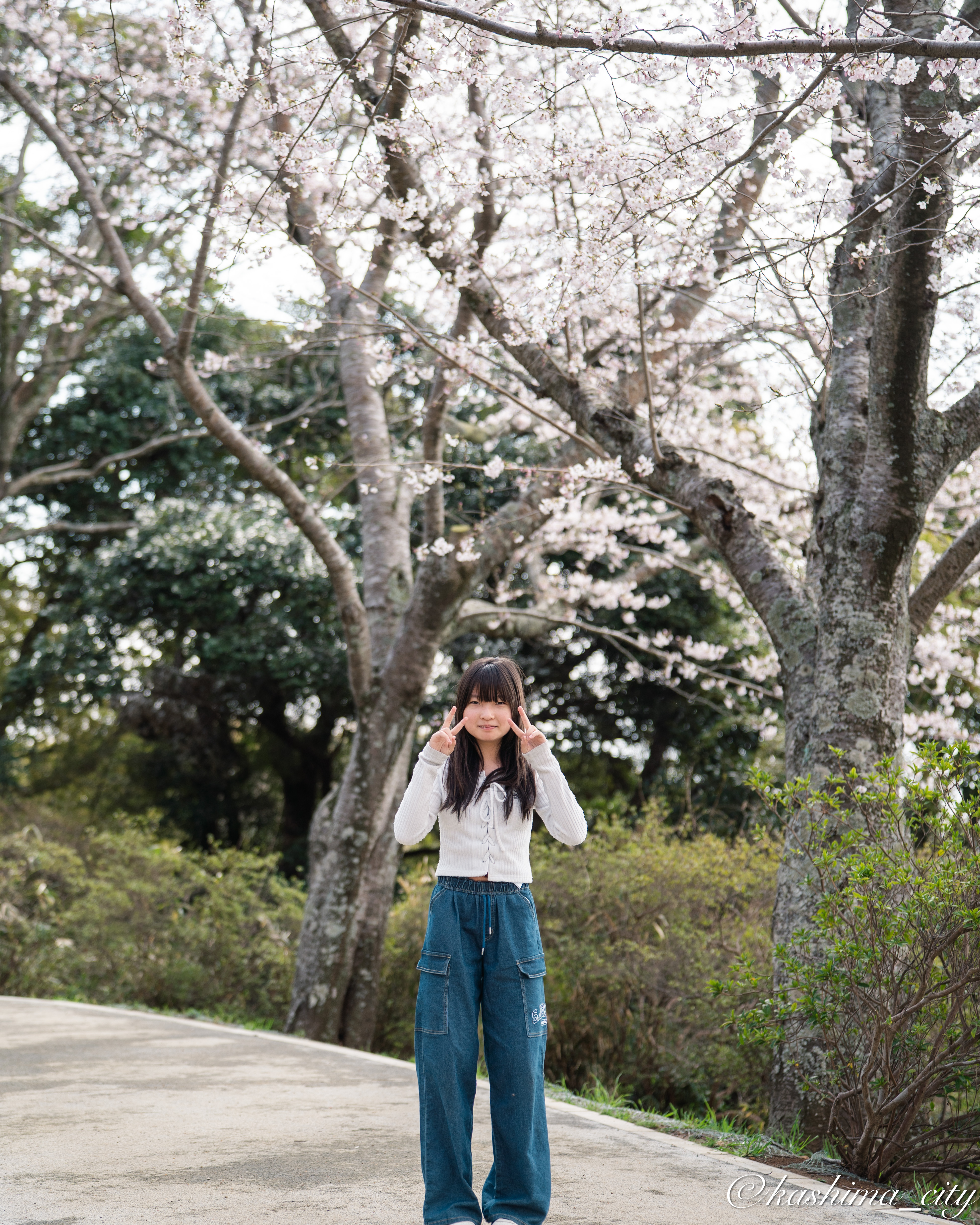 桜の木の下でピースする女の子