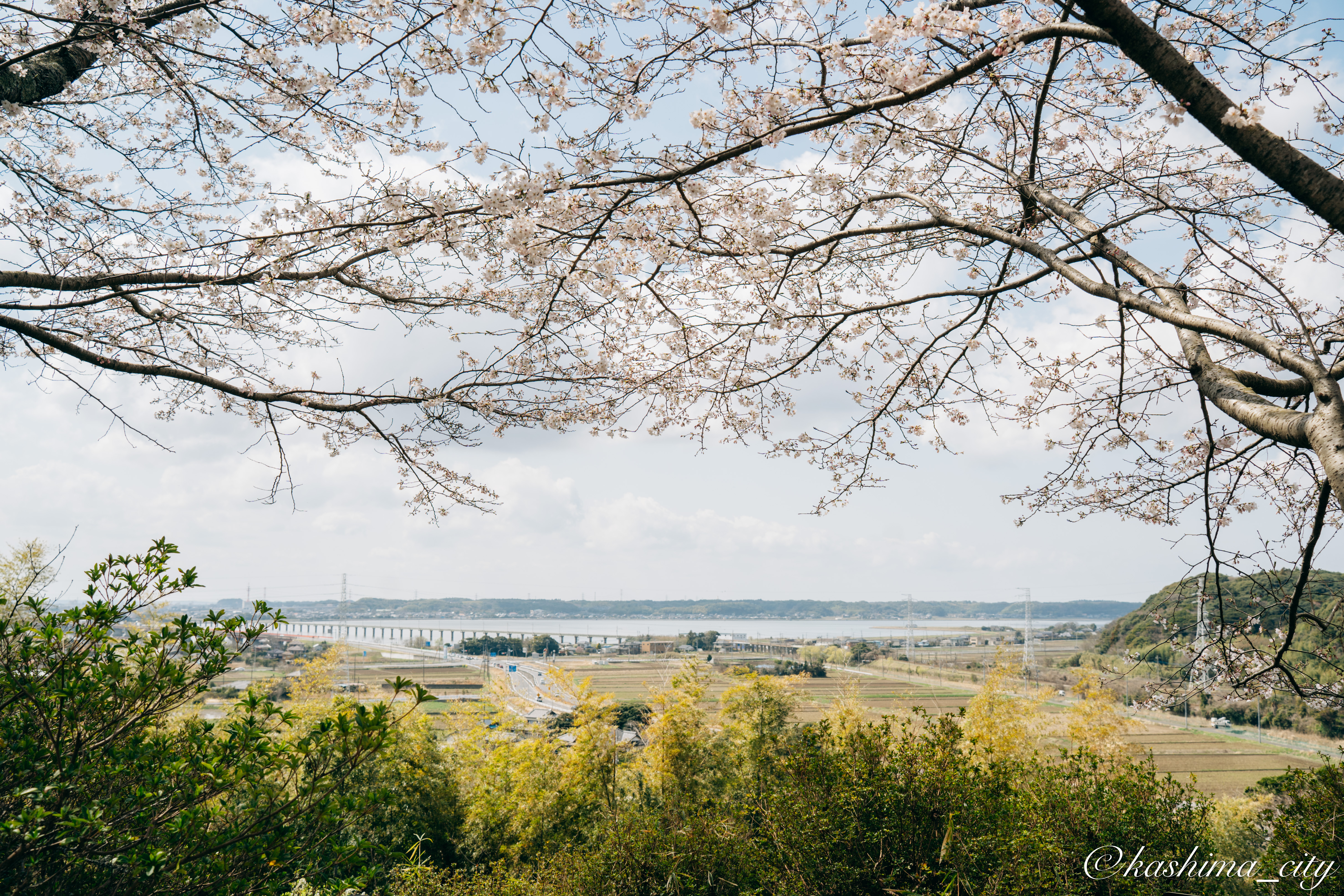 城山公園から望む北浦