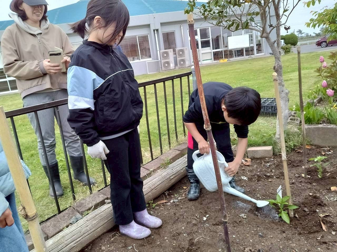野菜苗植えの様子