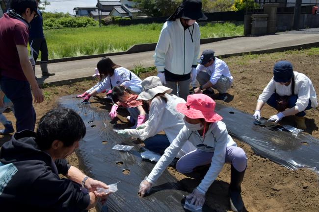 波野元気っ子事業