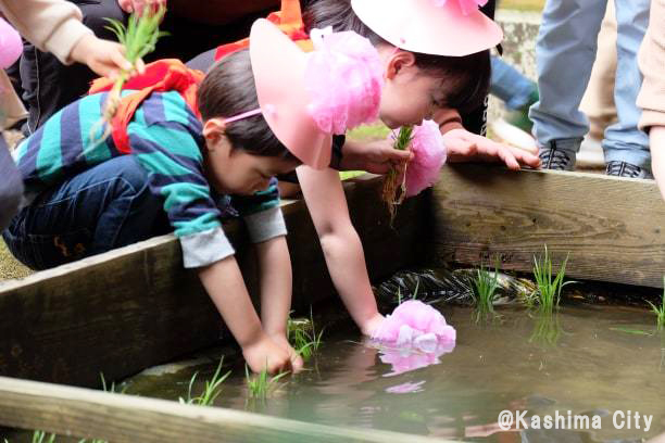 御田植を体験するこども